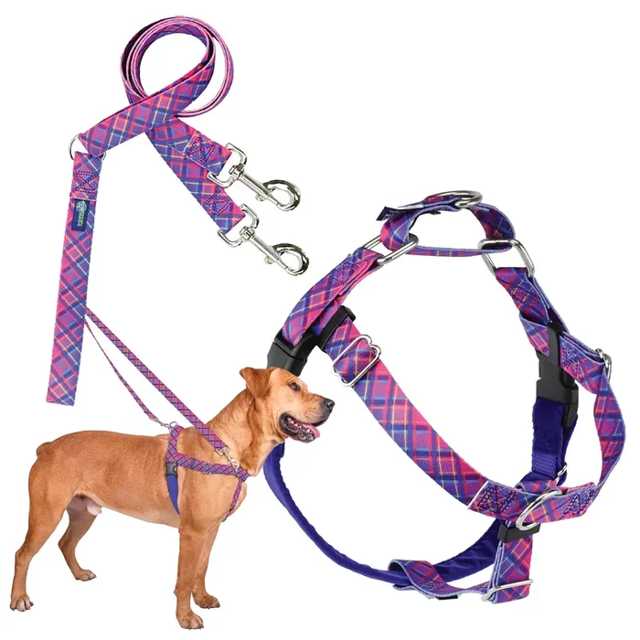 2 Hounds Design – Freedom No-Pull Harness & Training Leash In Pink And Purple | Dual Leash Loops, No Pulling On Walks | Lined To