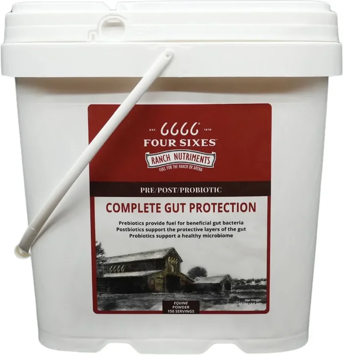 6666 Complete Gut Protection Powder