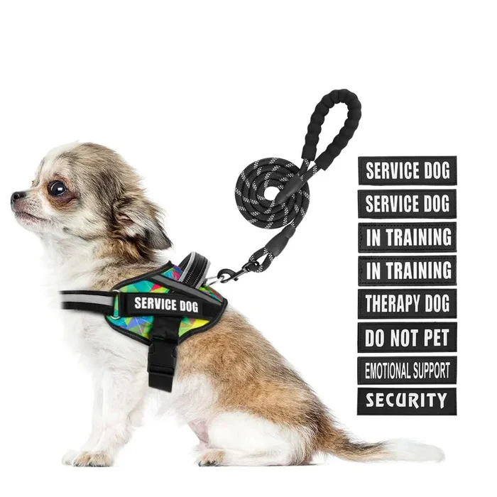 Animire Service Dog Harness and Leash Set, XS, Multi-Colored, with 10 Patches, Reflective, for Small to XL Dogs
