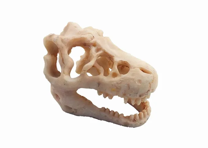 Aquarium Decoration Skeleton Hole Resin Artificial Dinosaur Skull Skeleton Ornament – Fish Tank Small Skull Aquarium Decorations Cave Landscape Pet Reptile House