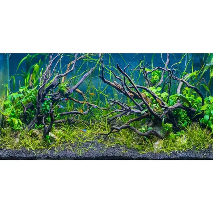 Awert 36X24 Inches Tropical Fish Tank Background River Bed & Lake Aquatic Plant Undersea Tree Branch Aquarium Background Vinyl