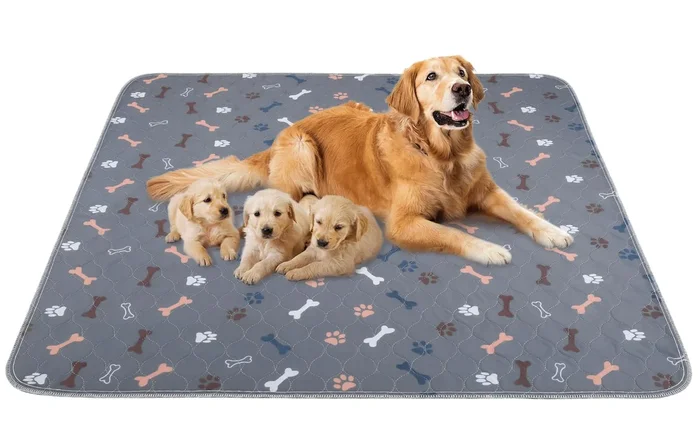 Baodan Washable Pee Pads For Dogs 72’X72′, Reusable Puppy Pads Extra Large Upgrade Non-Slip Dog Pee Pads Super Absorbency Training Pads Quick Dry Whelping Pads For Dog Playpen, Protects Floor Sofa Bed