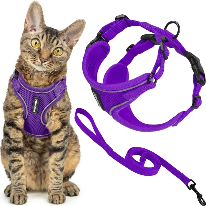 Best Pet Supplies Voyager Escape Proof Cat Harness And Leash Set With Reflective Stitching, Neoprene Handle 5Ft – Supports Small