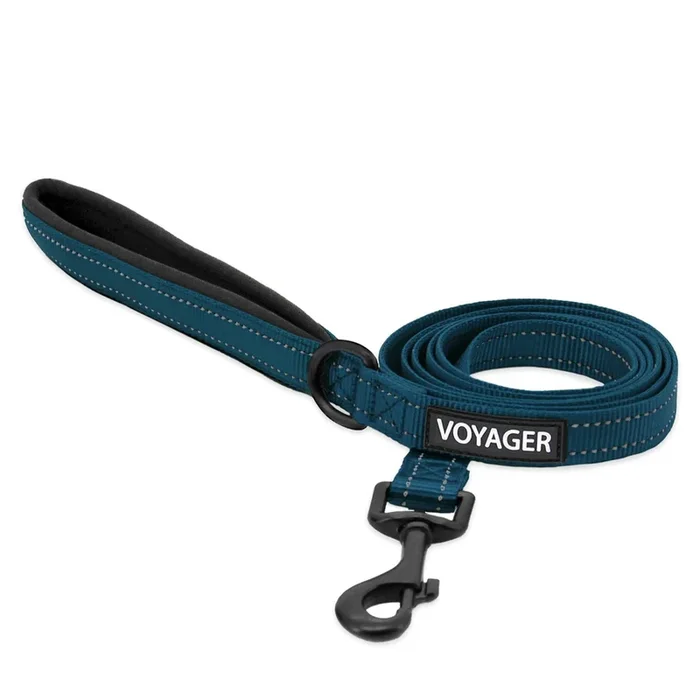 Best Pet Supplies Voyager Reflective Dog Leash With Neoprene Handle, 5Ft Long, Supports Small, Medium, And Large Breed Puppies, Cute And Heavy Duty For Walking, Running, And Training – Blue,3/4′ X 5Ft