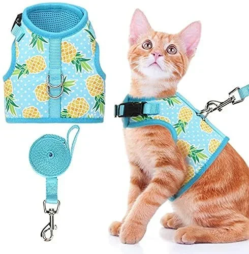 Bingpet Cat Harness – With Leash Included – Mesh Cat Dog Walking Harness Adjustable Harness For Kitties Puppy Harness Adjustable Cat Vest Harness Small Pineapple