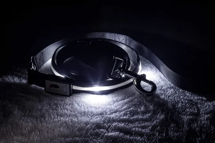 Blazin’ Safety Led Dog Leash – Usb Rechargeable Flashing Light, 6 Ft, Water Resistant – Avoid Danger – Blue