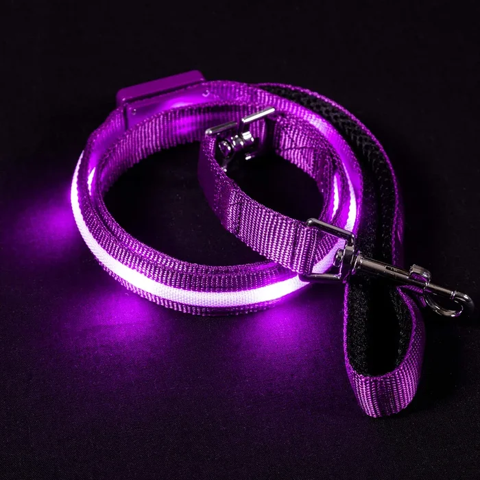 Blazin Light Up Led Dog Leash – 1,000 Feet Visibility – Usb Rechargeable, Waterproof, Glow In Dark – 4 Foot, Purple