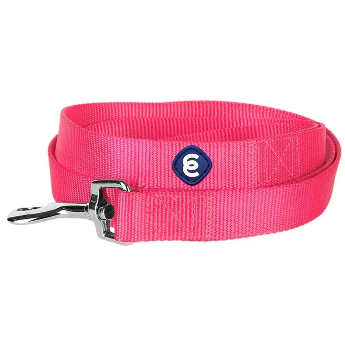 Blueberry Pet Essentials 19 Colors Durable Classic Dog Leash 5 Ft X 3/8”, French Pink, X-Small, Basic Nylon Leashes For Puppies
