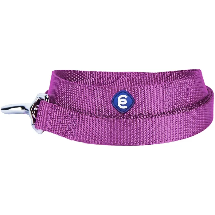Blueberry Pet Essentials 21 Colors Durable Classic Dog Leash 5 Ft X 3/4′, Violet, Medium, Basic Nylon Leashes For Dogs