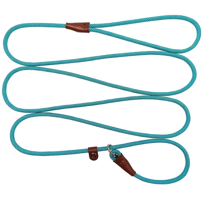 Btinesful 7Ft Slip Lead Dog Leash, Strong Nylon Rope Leash, 1/4 & 1/2 Inch Diam Dog Training Lead For Small Medium Large Dogs (1/4′ * 7 Ft, Green Dot)