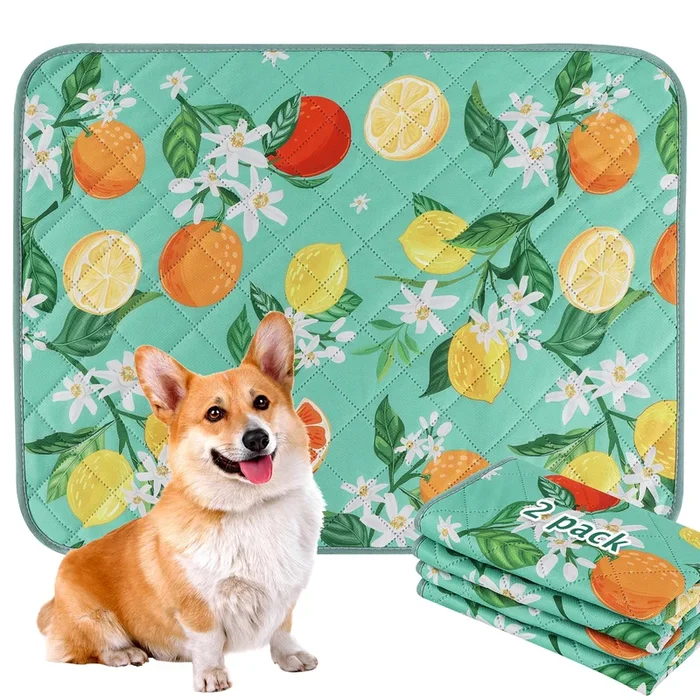 Bvagss Washable Pee Pads For Dogs, 2 Pack Reusable Leakproof Puppy Wee Wee Pad, Non-Slip Waterproof Pet Training Pads, Super Abs