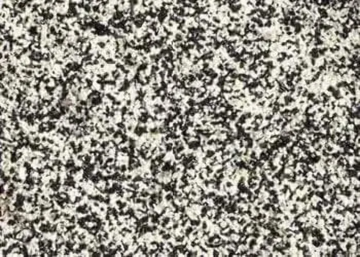 Carib Sea Acs00222 African Sahara Sand For Aquarium, 20-Pound