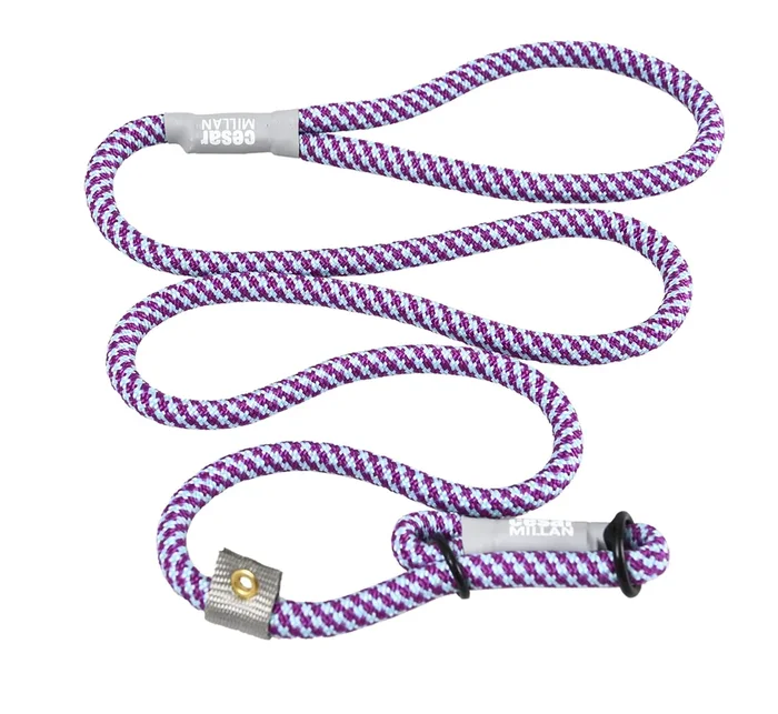 Cesar Millan Slip Lead Leash™ – 2-In-1 Slip Collar Dog Training Lead & Collar | Heavy Duty Durable Weatherproof Rope Leash, No Pull Training | Length 4Ft Diameter 4/10”(Regular, Aqua/Purple)