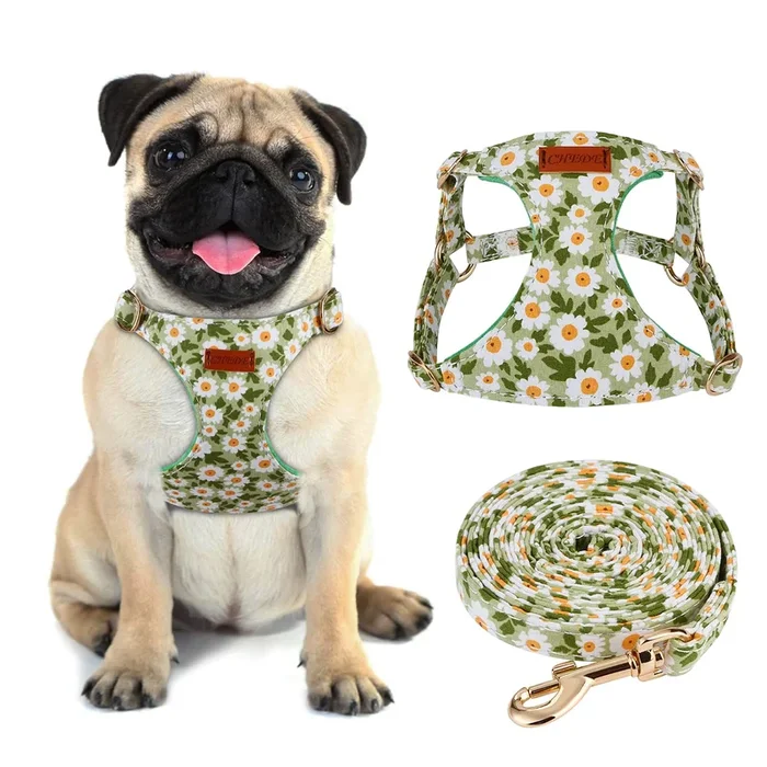 CHEDE Floral Pattern Dog Harness – Lightweight and Soft, Adjustable for Small & Medium Dogs, Includes Leash – Green Daisy
