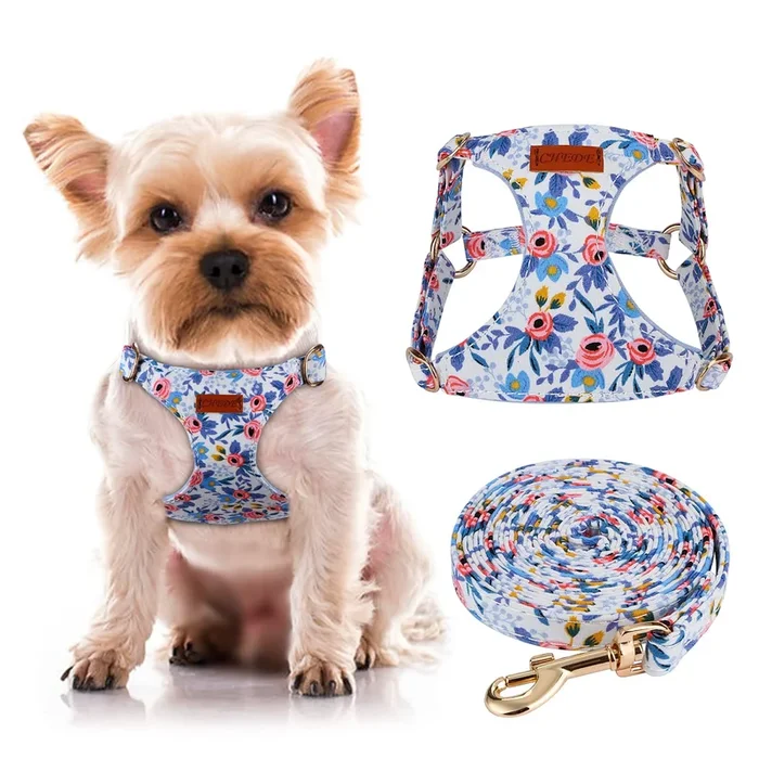 CHEDER No-Pull Floral Pattern Dog Harness – Lightweight & Soft, Adjustable for Small & Medium Dogs (XXS, Blue Rose) with Leash