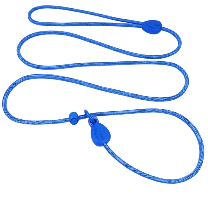 D Blue 6FT Slip Lead – Heavy Duty No Pull Dog Training Leash, Comfortable Rope Leash for Small to Medium Dogs