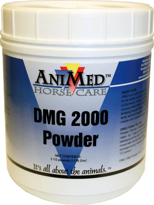 Dmg 2000 Powder For Horses
