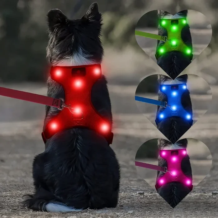 DOMIGLOW Light Up Dog Harness – Rechargeable LED Dog Vest, No-Pull Glowing Safety Pet Harness Lights for Night Walking & Camping