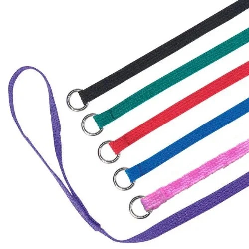 Downtown Pet Supply Slip Lead Dog Leash 24 Pack, 4′ X 1/2” – Universal Dog Slip Leash With Metal O Ring – Machine Washable Dog
