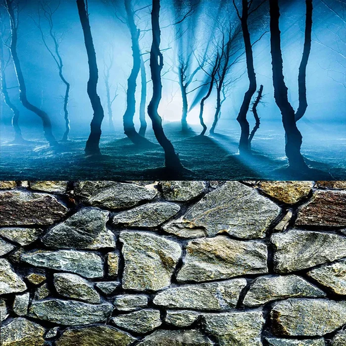 Elebox Fish Backgrounds Paper Double Sides 3D Stone & Trees Aquarium Background Picture 19” X 48” Fish Tank Background