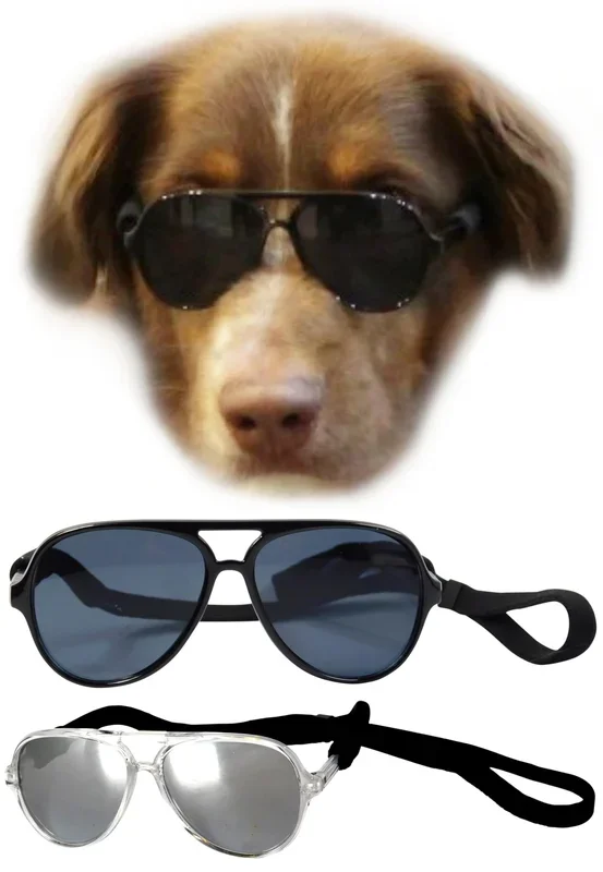 G010 Dog Pet Costume Prop Aviator Sunglasses Medium Breeds 20-40 Lbs (2-Pack Black+Crystal Clear-Mirror)