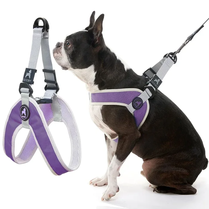 Gooby Simple Step in III Harness – Purple, Large – Small Dog Harness with Scratch Resistant Outer Vest – Soft Inner Mesh Harness