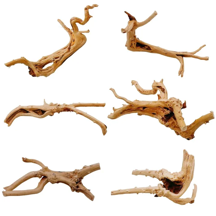 Hamiledyi 6 Pcs Aquarium Driftwood Natural Spider Wood Branches Reptiles Aquarium Fish Tank Decoration Assorted(6 Inch-8 Inch)