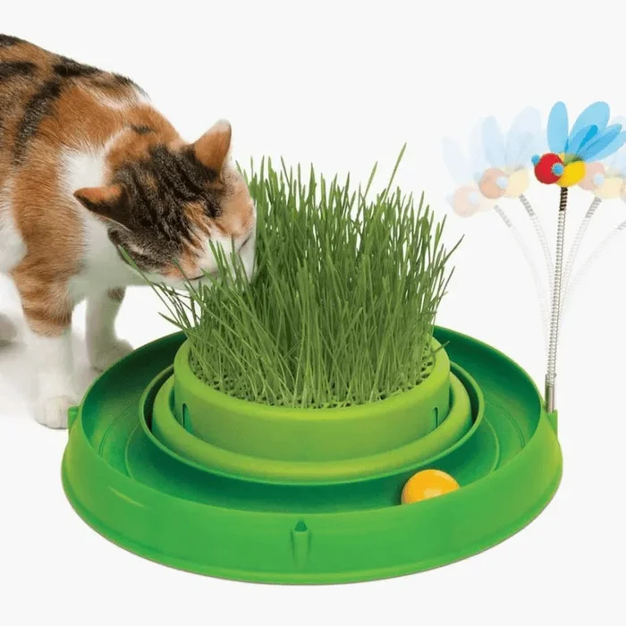 Interactive Cat Toy – Circuit Ball Toy with Cat Grass