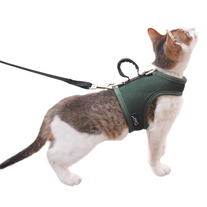 Kitty Harness And Leash For Walking Escape Proof Breathable Mesh Fabric, Solid Green, X-Small, Adjustable Cat Walking Jackets Wi