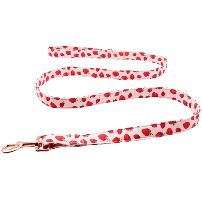 Lionet Paws Strawberry Dog Leash Matching Dogs Collar For Small Medium Dog