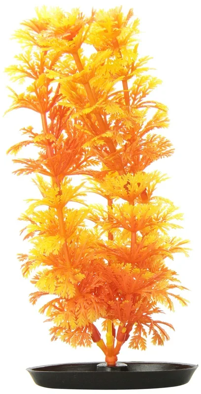 Marina Vibrascaper Ambulia, 8-Inch