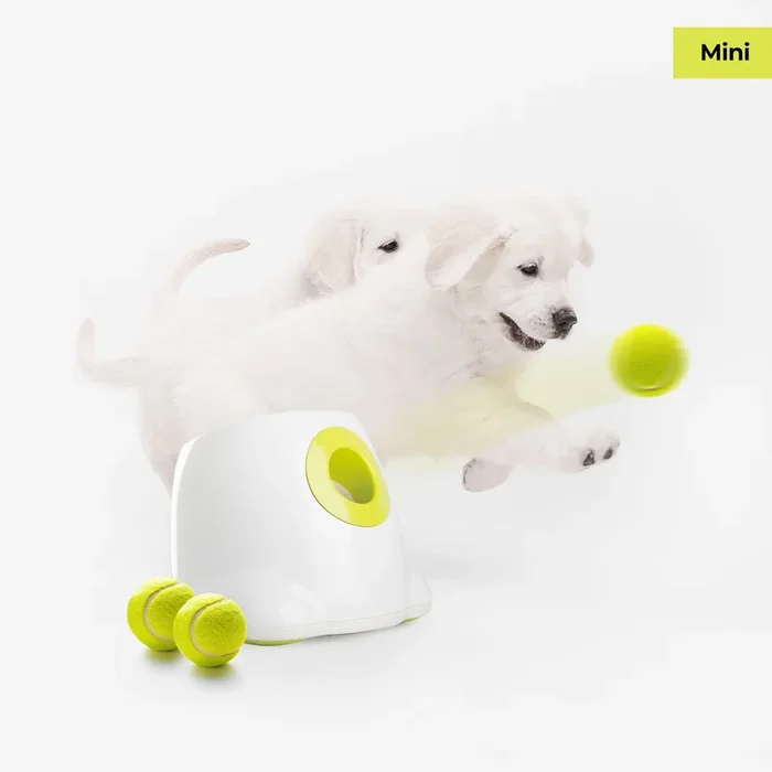 Mini Hyper Fetch Automatic Ball Launcher For Small Dogs