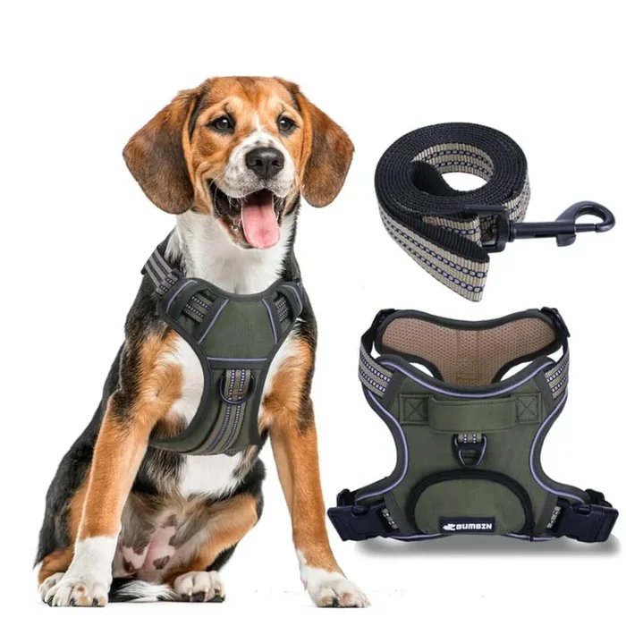 No Pull Dog Harness for Large Dogs, Adjustable No Choke Pet Vest with Dog Leash Fit Smart Reflective Pet Walking Harness for Tra