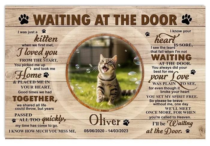 P80811 Unique Cat Memorial Poster Gifts Memorial Sayings For Cat Lover Mom Dad Personalized Poster Wall Art Decor, Custom Landsc