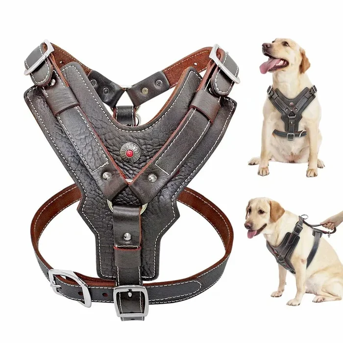 PET ARTIST Heavy Duty Leather Dog Harness for Medium Dogs