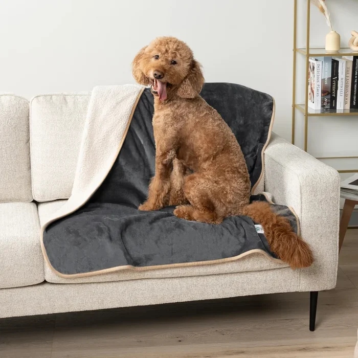 Petami Waterproof Dog Blanket For Medium Large Dogs, Pee Proof Pet Blanket For Bed Couch, Reversible Water Proof Blanket For Puppy Indoor Cat, Soft Dog Pee Crate Cover Washable, 60X80 Gray/Beige