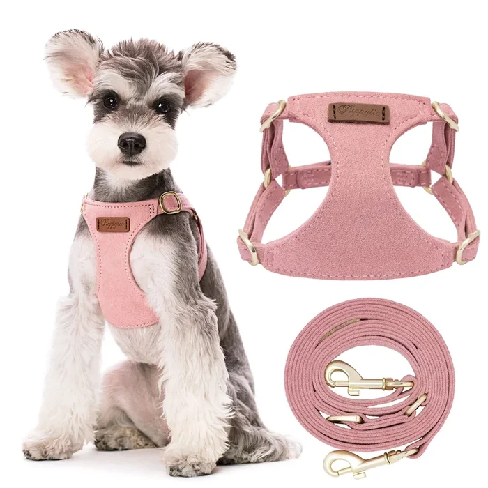Puppytie No Pull Small Dog Harness with Multifunction Dog Leash, Lightweight Soft Adjustable No Choke Escape Proof Pet Harness V