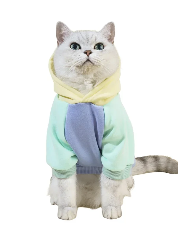 Qwinee Basic Dog Hoodie And Cat Apparel – Dog & Cat Warm Jacket, Yellow And Blue Medium