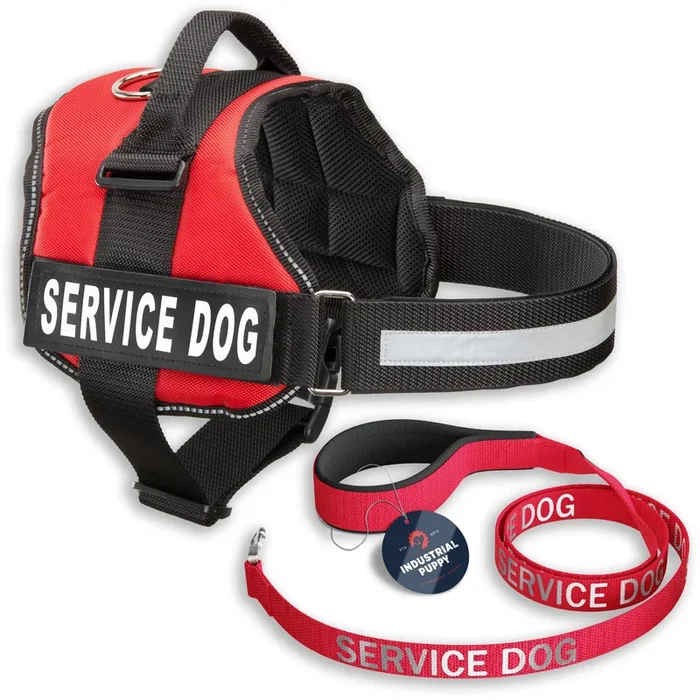 Service Dog Vest with Hook and Loop Straps & Matching Leash Set – Harnesses from XXS to XXL – Service Dog Harness Features Refle