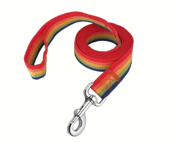 Strong Nylon Dog Leash, 4FT/ 5 FT/ 6FT Dog Leashes for Medium Large Dogs (4FT, Rainbow)