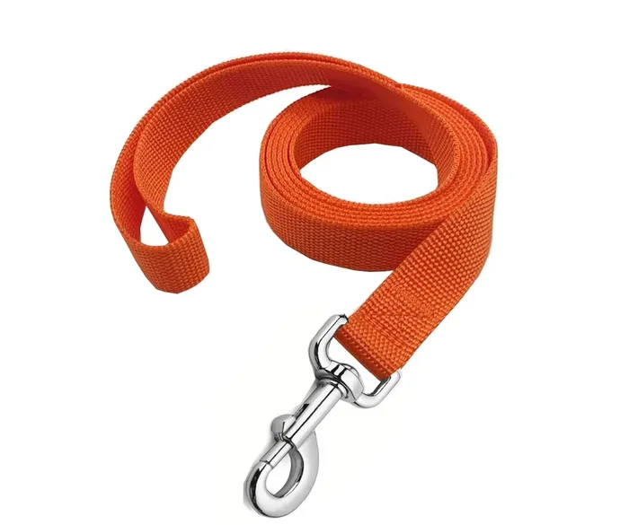 Strong Nylon Dog Leash, 4FT/ 5 FT/ 6FT Dog Leashes for Medium Large Dogs (6FT, Orange)