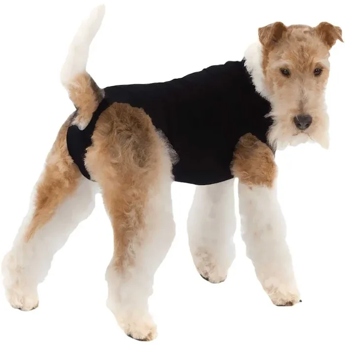 Suitical Recovery Suit for Dogs Black – Medium