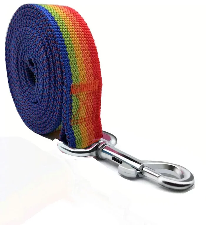 Taian 4Ft/5Ft/6Ft Strong Dog Leash, Nylon Dog Leashes For Small Medium Large Dogs (3/4 In X 5 Ft, Rainbow)