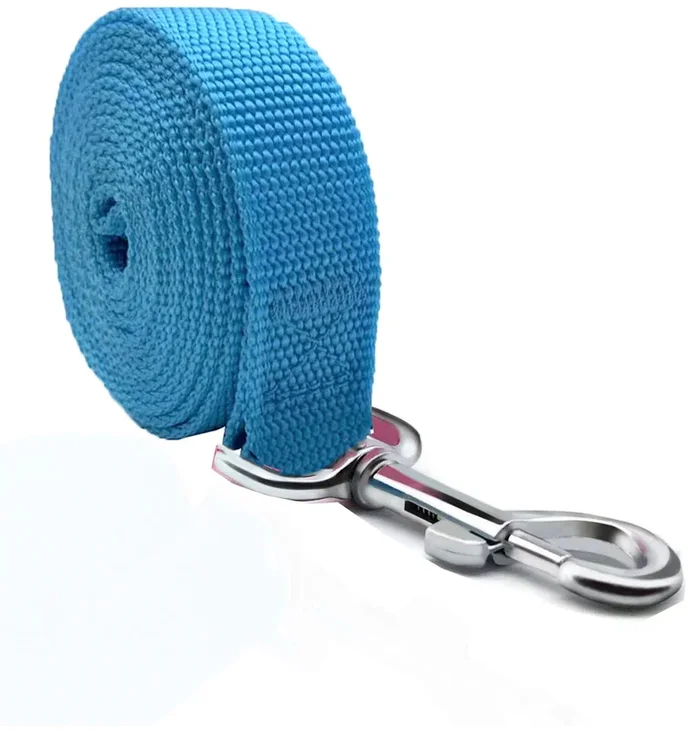 Taian 4Ft/5Ft/6Ft Strong Dog Leash, Nylon Dog Leashes For Small Medium Large Dogs (5/8 In X 5 Ft, Blue)