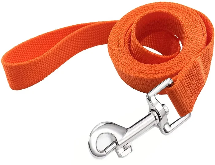 Taian 4Ft/5Ft/6Ft Strong Dog Leash, Nylon Dog Leashes For Small Medium Large Dogs (Orange, 1 In X 10 Ft)