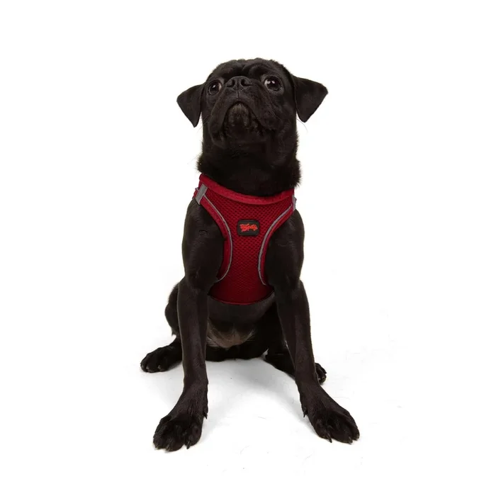 Tailpetz Red Dog Harness Medium Sized Dog, Adjustable No Pull Step in Harness Medium Size Dog, Reflective Puppy Harness for Pupp