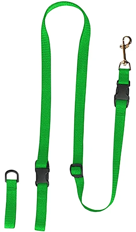 The Buddy System Extra A Buddy Small Green