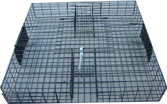 The Squirrelinator Live Squirrel Trap Only