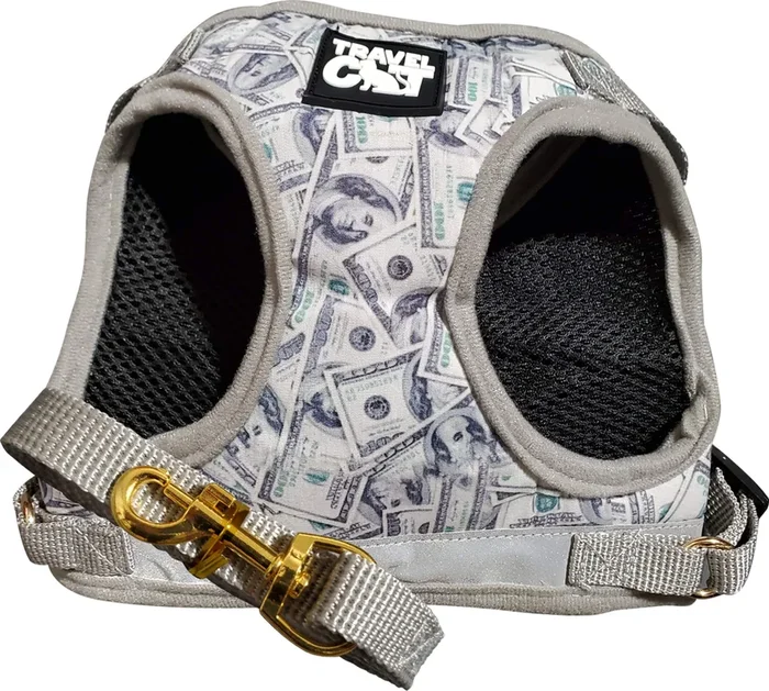 Travel Cat & Stray Cat Harness And Leash Set – Adjustable Fit Mesh Cat Harness And Reflective Strap – Comfort Escape Proof Harness For Cats, Kitten For Outdoor Walking, Hiking (Medium, Cashcat)