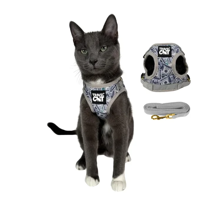 Travel Cat & Stray Cat Harness And Leash Set – Adjustable Fit Mesh Cat Harness And Reflective Strap – Comfort Escape Proof Harness For Cats, Kitten For Outdoor Walking, Hiking (Extra Small, Cashcat)